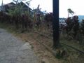 lot for sale, -- Land -- Baguio, Philippines