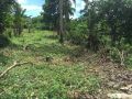 the property is loated in amadeo cavite, -- Land & Farm -- Tagaytay, Philippines