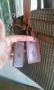 ralph lauren bag, -- All Buy & Sell -- Metro Manila, Philippines