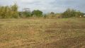 farm for sale, -- Farms & Ranches -- Zambales, Philippines