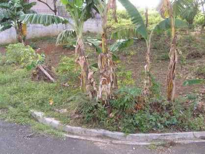 land, lot for sale, antipolo, -- Land -- Antipolo, Philippines