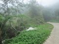 500 per square meter, along private road in long long, -- Land & Farm -- Baguio, Philippines