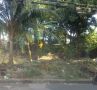 lot for sale; novaliches, -- Land -- Manila, Philippines