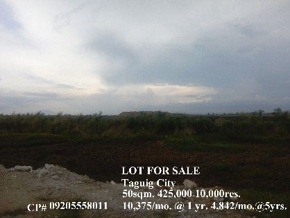 lot for sale in taguig city, -- Land Metro Manila, Philippines