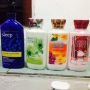 lotion, -- Beauty Products -- Laguna, Philippines