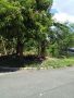 lot in ups5, lot in paranaque, lot only, lot, -- Land -- Metro Manila, Philippines
