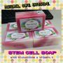 stem cell soap, -- Beauty Products -- Batangas City, Philippines