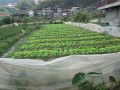 500 square meter, -- Land & Farm -- Baguio, Philippines