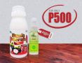 buah merah mix, essensa naturale, cancer cure, buah merah, -- Nutrition & Food Supplement -- Antipolo, Philippines