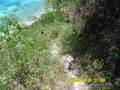 beachlot for sale in, -- Land -- Cebu City, Philippines