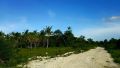 lot for sale, -- Land -- Bohol, Philippines
