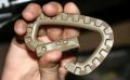 itw quick release carabiner survival pocket tool tactical airsoft military, -- Camping and Biking -- Metro Manila, Philippines