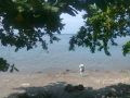 4,968sq.m Beach fronting Banay Banay Davao Oriental -- Land -- Davao del Norte, Philippines