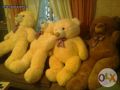 giant teddy bear cream, -- Other Business Opportunities -- Metro Manila, Philippines