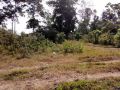 overlooking lot for sale in bohol, -- Land -- Bohol, Philippines