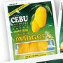 dried mango, -- Food & Related Products -- Cebu City, Philippines