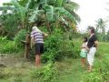 land in tutay pinamungajan cebu, -- Land & Farm -- Cebu City, Philippines