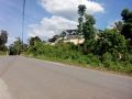 overlooking lot for sale in bohol, -- Land -- Tagbilaran, Philippines