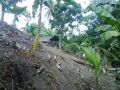 marinduque jungle nature, -- Land -- Marinduque, Philippines