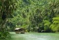 bohol package, -- Tour Packages -- Metro Manila, Philippines