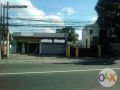 commercial lot for sale 976 sqm, -- Commercial & Industrial Properties -- Metro Manila, Philippines