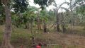 tagaytay lot for sale, -- Land -- Caloocan, Philippines
