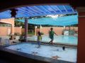 hot spring resort, private pool in pansol calamba laguna, private hot spring resort in laguna, private resort for rent piscina de jillen, -- Real Estate Rentals -- Calamba, Philippines