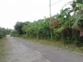 tagaytay lands for sale, -- Land -- Cavite City, Philippines