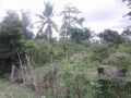 lot in panglao, -- Land -- Bohol, Philippines