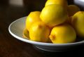 lemon supplier, lemon supplier philippines, affordable lemon, simply lemon, -- Distributors -- Santa Rosa, Philippines