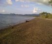 beach lot, marinduque, -- Land -- Marinduque, Philippines
