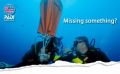 diving, scuba, swimming, tours, -- Other Classes -- Metro Manila, Philippines