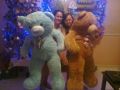 giant teddy beat light brown, -- Other Business Opportunities -- Metro Manila, Philippines