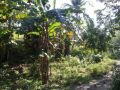 marinduque, hectares, for sale, -- Land -- Marinduque, Philippines