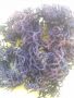 dried seaweed, -- Natural & Herbal Medicine -- Las Pinas, Philippines