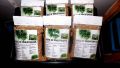 wheatgrass, -- Nutrition & Food Supplement -- Misamis Occidental, Philippines