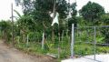 invest own, -- Land & Farm -- Tagaytay, Philippines