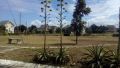 commercial lot, -- Condo & Townhome -- Laguna, Philippines
