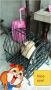 antique cage, -- All Buy & Sell -- Metro Manila, Philippines