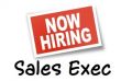job, sales account executive, marketing sales agent, -- Sales & Marketing -- Metro Manila, Philippines