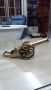 antique miniature decorative all brass cannon, brass cannon models, antique cannon, decorative cannon, -- Antiques -- San Juan, Philippines