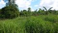 land and farm for sale, -- Land & Farm -- Cavite City, Philippines