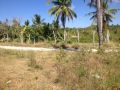 agricultural lots, affordable real estate, lot for sale, -- House & Lot -- Cebu City, Philippines