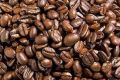 roasted coffee bean beans supplier philippines 50 kilos supply, -- Everything Else -- Metro Manila, Philippines