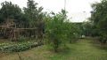 magalang, house lot, clean title, farm, -- House & Lot -- Pampanga, Philippines
