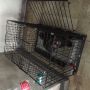 cage, -- Pet Accessories -- Antipolo, Philippines