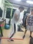 crosbox athletics, -- Exercise and Body Building -- Munoz, Philippines
