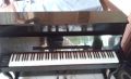 piano and organ, -- Keyboards -- Bulacan City, Philippines