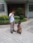 dog trainer, dog training, dog trainer manila, dog trainer mandaluyong, -- Other Services -- Mandaluyong, Philippines
