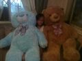 giant teddy bear blue, -- Other Business Opportunities -- Metro Manila, Philippines